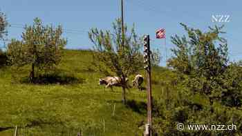 Sogar Trumps Zollplan bringt die hohe Schutzmauer für die Schweizer Bauern nicht zum Einsturz