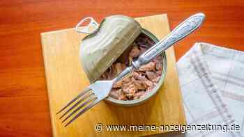 Thunfisch im SWR-Test: Experte zerlegt Markenprodukt – „Gestückelt, gepresst, gestopft“
