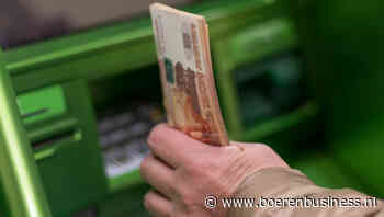 Waarom de roebelrally een wankele basis heeft