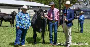 Winning streak continues for young Scots All Saints student