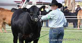 Photos: All the action from school paraders at Canberra Royal 2025