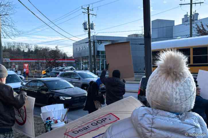 Protesters hold anti-Elon Musk demonstration outside Arlington Tesla dealership