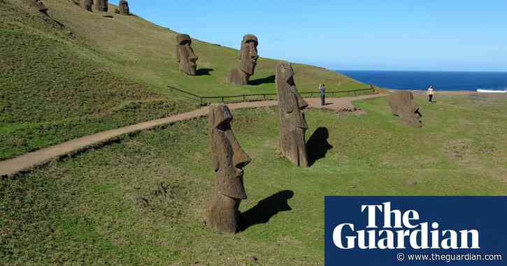 ‘The last plant left’: can Rapa Nui’s extinct tree be resurrected?