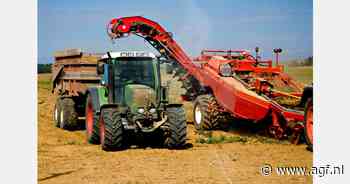 Nederlandse aardappelverwerkers kiezen vaker voor eigen bodem