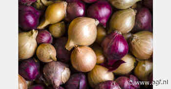 Filipijnen importeert 4.000 ton uien