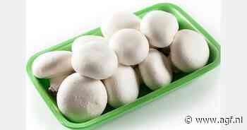 "Vrijstelling van verbod op wegwerpplastic verpakkingen voor paddenstoelen nodig"