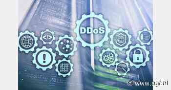 Aantal incidenten met gijzelsoftware licht gedaald