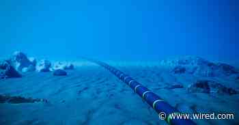 Meta Will Build the World's Longest Undersea Cable