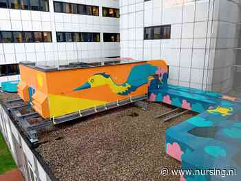 Patiënten vonden het uitzicht maar saai, verpleegkundige Marco bedacht er iets voor