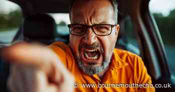 Driver 'distressed' after Mitsubishi man punches him twice in road rage