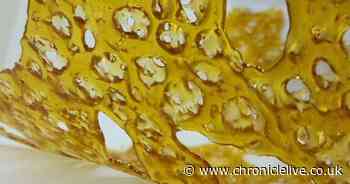 Campaign launched raising awareness of extreme dangers of producing 'honey oil' and 'shatter' cannabis