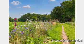 Wat kunnen we verwachten van het 'Versnellingsspoor biologische landbouw'?