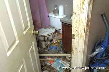 Mom accused of leaving kids in ‘absolute squalor’ for years, police say