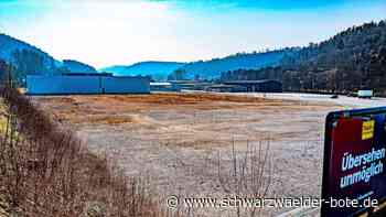 Neubau Baumarkt in Nagold: Details bleiben weiter Mangelware