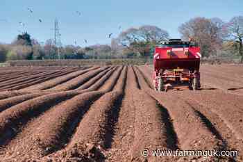 Half of UK farmers reconsidering their future, says survey