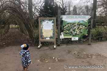 Geen tijd voor verveling tijdens de krokusvakantie: gemeente biedt tal van activiteiten aan