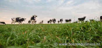 Landbouw en stikstof: probleem of oplossing?