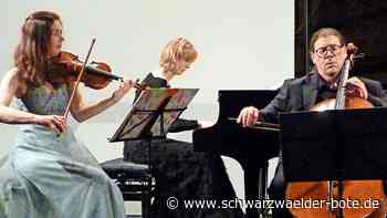 Altensteiger Meisterkonzerte: Zwischen Geige und Flügel fliegen die Funken