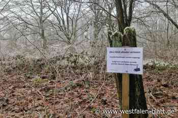 Werden Müll-Sünder in Rödinghausen gefilmt?