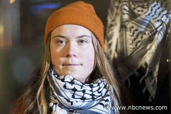 Sweden's top court rejects Greta Thunberg lawsuit on climate action