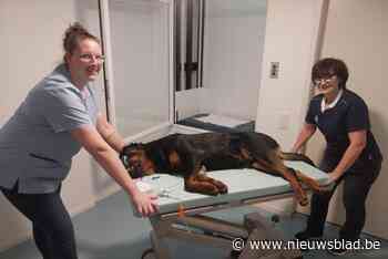 Nieuwe MRI-scanner dierenkliniek AniCura in gebruik genomen: rottweiler Dyce bijt de spits af