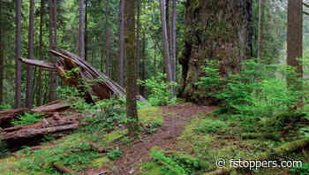 What Is The Value of Your Photography?