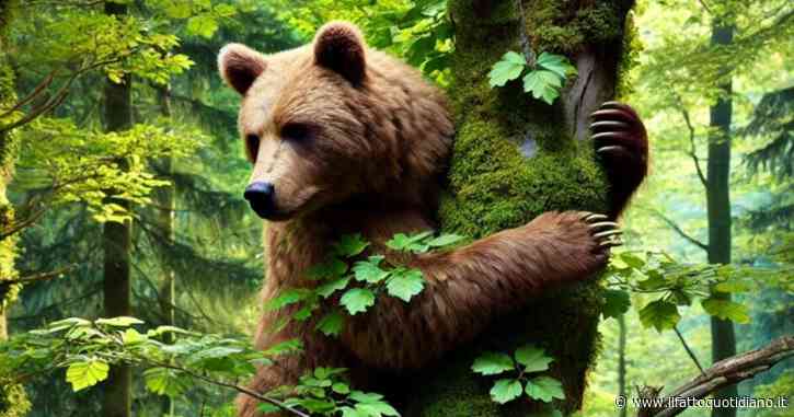 Andrea Papi, perché anch’io ritengo sbagliato accusare i dirigenti locali in caso di incidenti di montagna