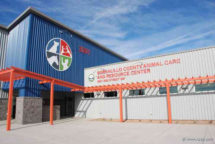 Bernalillo County Animal Care Services seeks volunteers for spay and neuter clinics