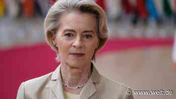 Anreiz statt Verbote – Von der Leyen beerdigt das nächste Projekt ihres „Green Deals“
