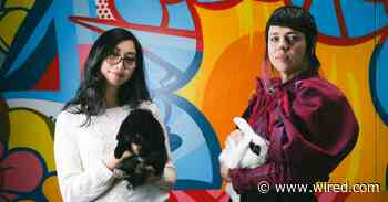 Your Next Pet Could Be a Glowing Rabbit