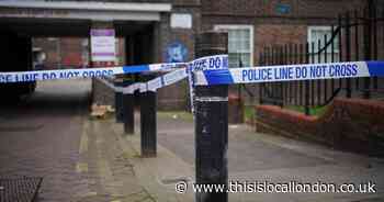 Victim of ‘devastating’ fatal stabbing in Hackney named for first time