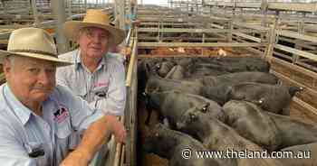 Where are the better prices producers were promised? | The First Draft