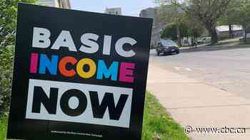 Universal basic income program could cut poverty up to 40%: Budget watchdog