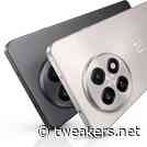 Gerucht: kleinere smartphone OnePlus heeft 6000mAh-accu