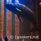 Perplexity AI maakt 'onbevooroordeelde' versie van DeepSeek-R1 opensource