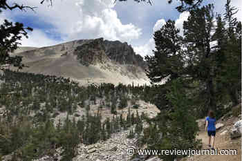 Nevada’s only national park cuts 20 percent of staff