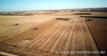 Portfolio of four cropping farms near Lock in SA off to auction