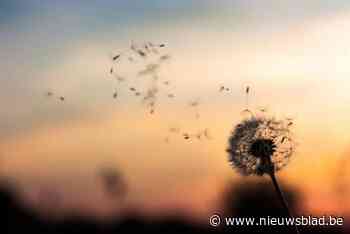 Gewezen renner Etienne Declercq (87) overleden