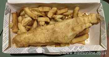 I tried the new chippy which has finally ended Cardiff Bay's 12-year barren spell