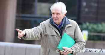 Pensioner went to shopping centre but ended up causing a scene of devastation