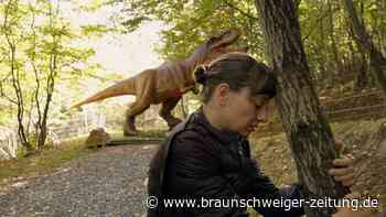 Gewissensbisse in einer Welt ohne Mitgefühl: „Kontinental ‘25“