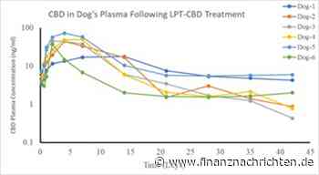 Aktie im Fokus: Patentierung löst Rallye aus…