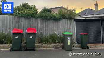 Sydney Mayor argues proposed statewide bin service won't suit big families