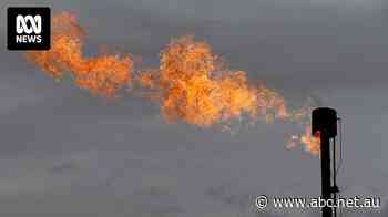 Forget more gas supply, expert argues. Stop exporting so much