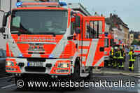 Dichter Rauch und Flammen in Wohnung - Zwei Katzen ersticken