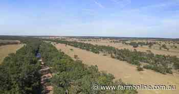 Maranoa's versatile exclusion-fenced Gladfield geared for 600 adult cattle