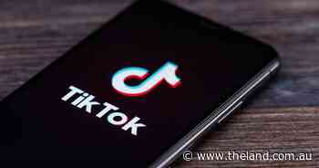 MLA calls for 'TikTok-ers' to show metropolitan Aussies where meat comes from