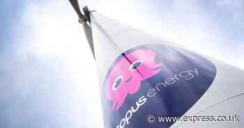 Octopus to unveil 113 more homes with 'zero energy bills for five years'