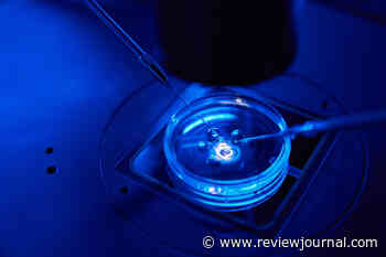 Nevada lawmakers move to protect IVF treatments