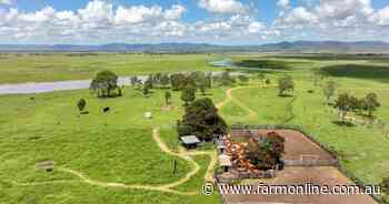 Fishpond presents as alluvial-plains country to run 300 cattle | Video